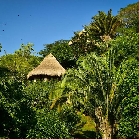 Ecohabs Bosques Del Tayrona Hotel Calabazo  Exterior photo