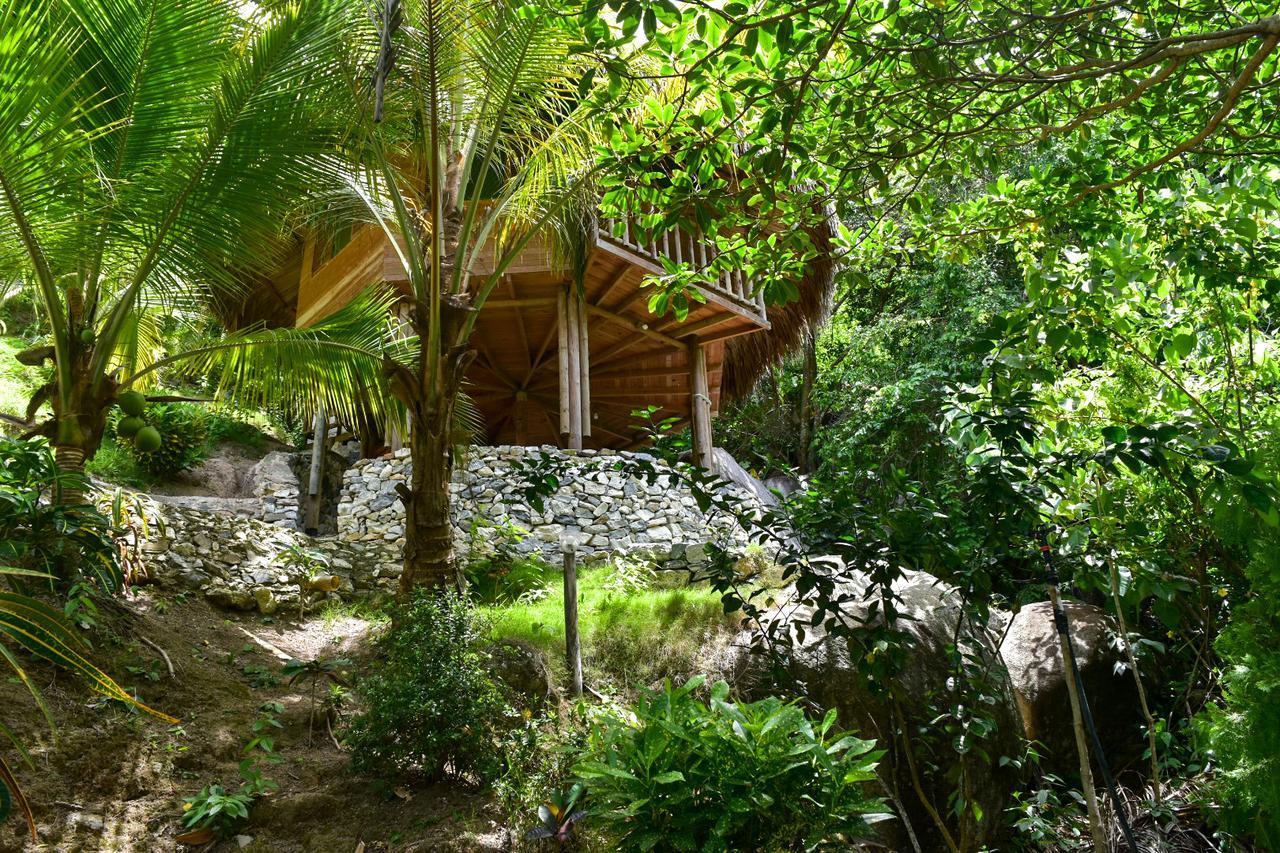 Ecohabs Bosques Del Tayrona Hotel Calabazo  Exterior photo