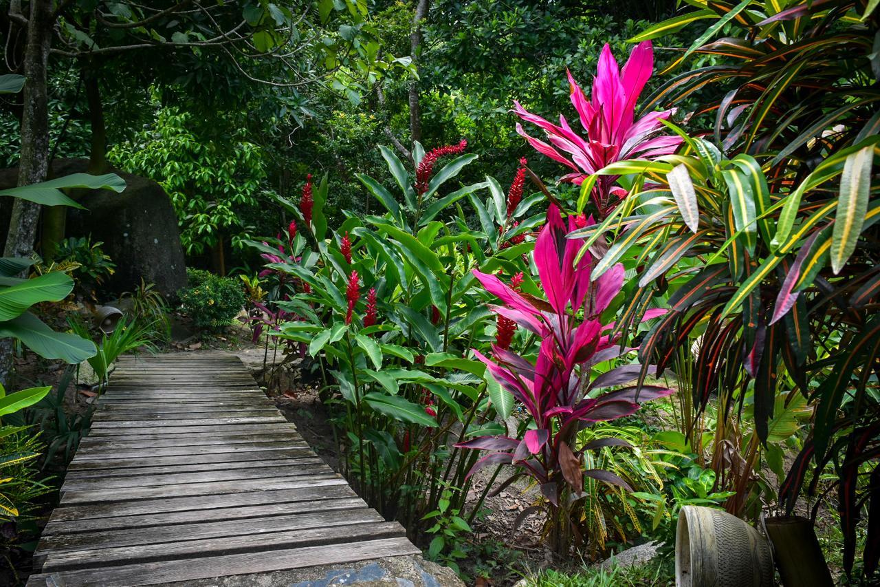 Ecohabs Bosques Del Tayrona Hotel Calabazo  Exterior photo