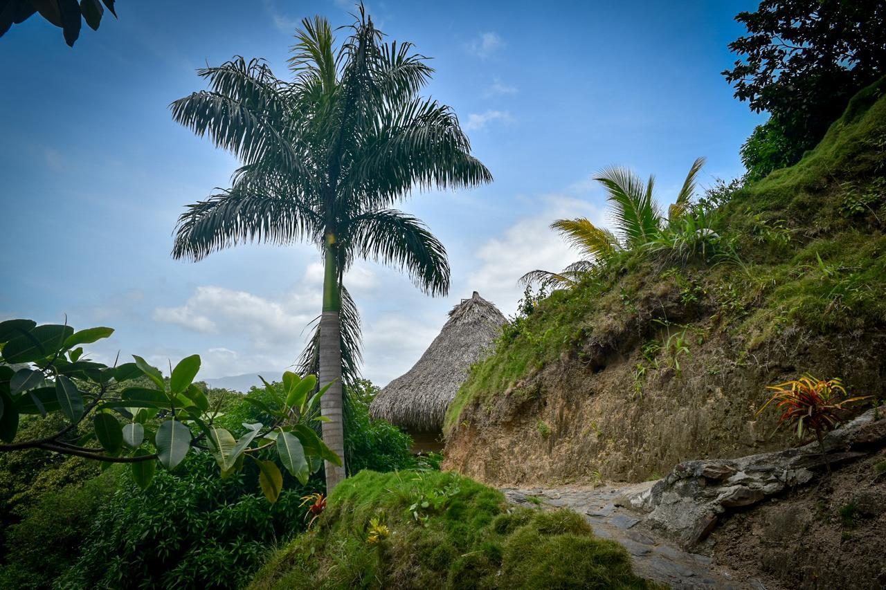 Ecohabs Bosques Del Tayrona Hotel Calabazo  Exterior photo