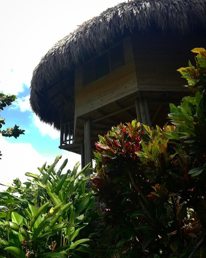 Ecohabs Bosques Del Tayrona Hotel Calabazo  Exterior photo