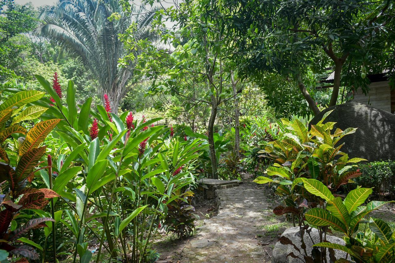 Ecohabs Bosques Del Tayrona Hotel Calabazo  Exterior photo