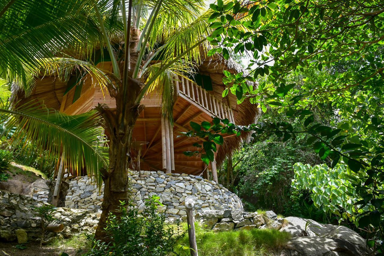 Ecohabs Bosques Del Tayrona Hotel Calabazo  Exterior photo