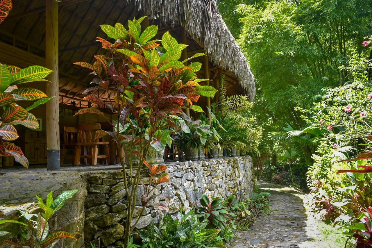 Ecohabs Bosques Del Tayrona Hotel Calabazo  Exterior photo