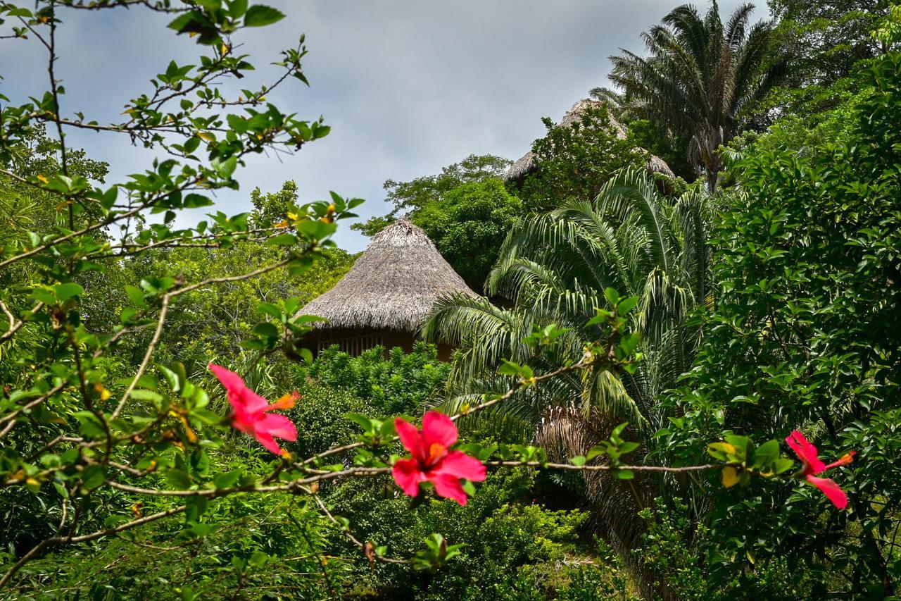 Ecohabs Bosques Del Tayrona Hotel Calabazo  Exterior photo
